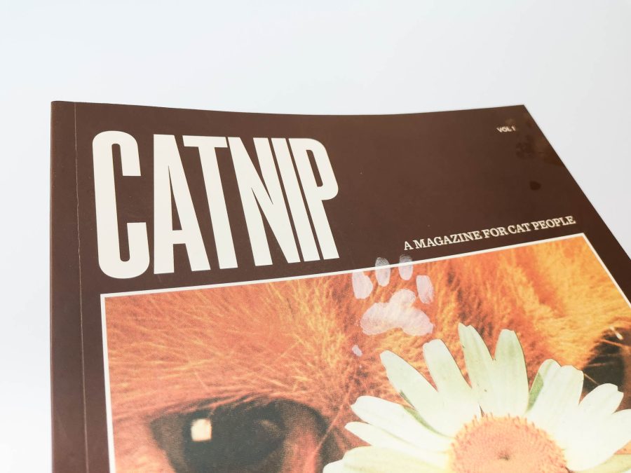 Catnip 1 3