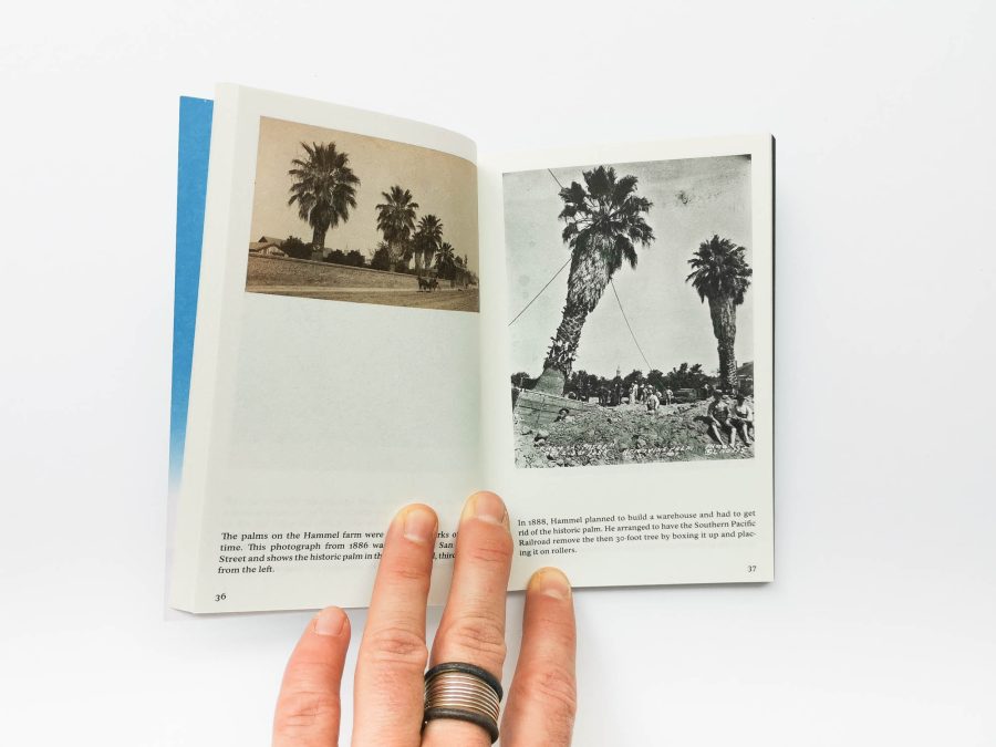Christian Kosmas Mayer - The Book of Record of the Palm Capsule (Black Forest Library 3) 3