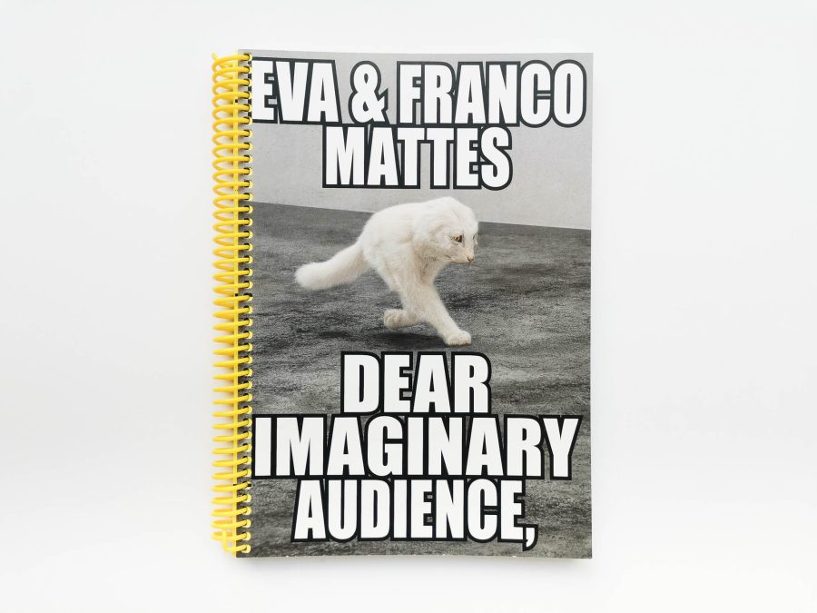 Eva & Franco Mattes - Dear Imaginary Audience 1