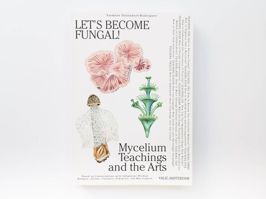 Let’s Become Fungal! - Mycelial Learning and the Arts 1