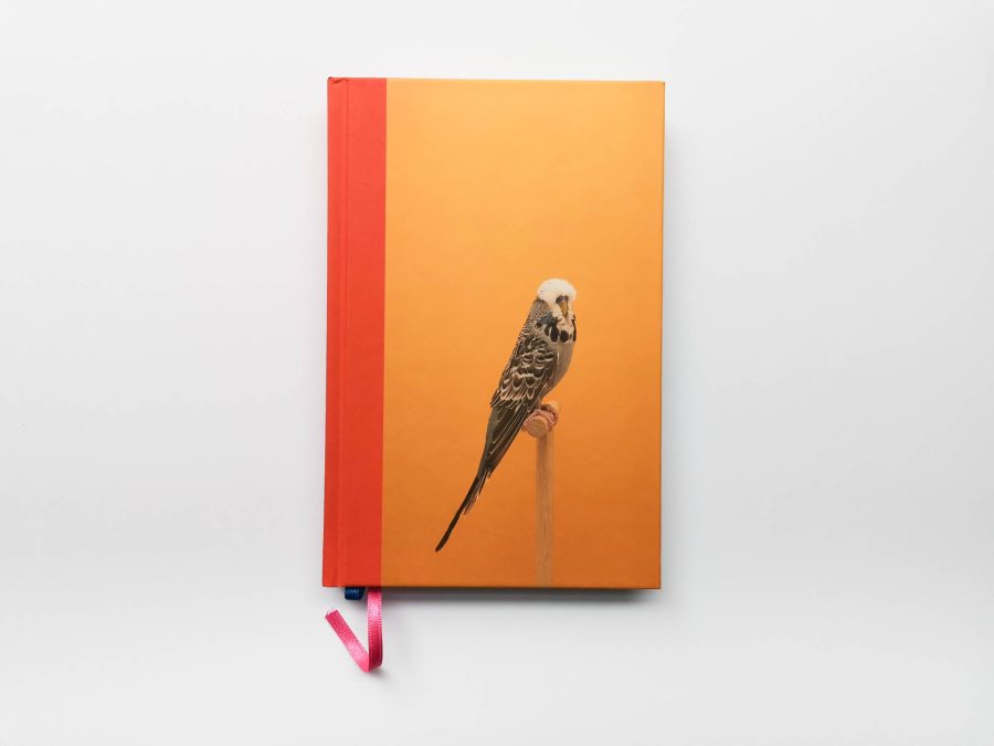 Luke Stephenson - An Incomplete Dictionary of Show Birds Vol 2 1