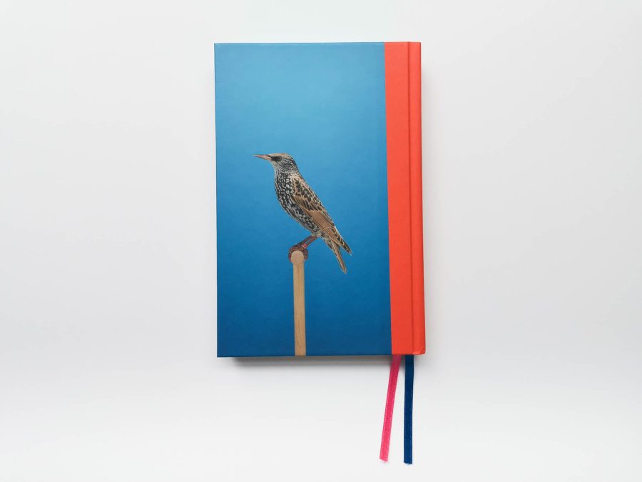 Luke Stephenson - An Incomplete Dictionary of Show Birds Vol 2 8-2