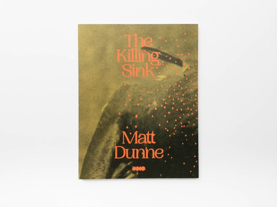 Matt Dunne - The Killing Sink 8