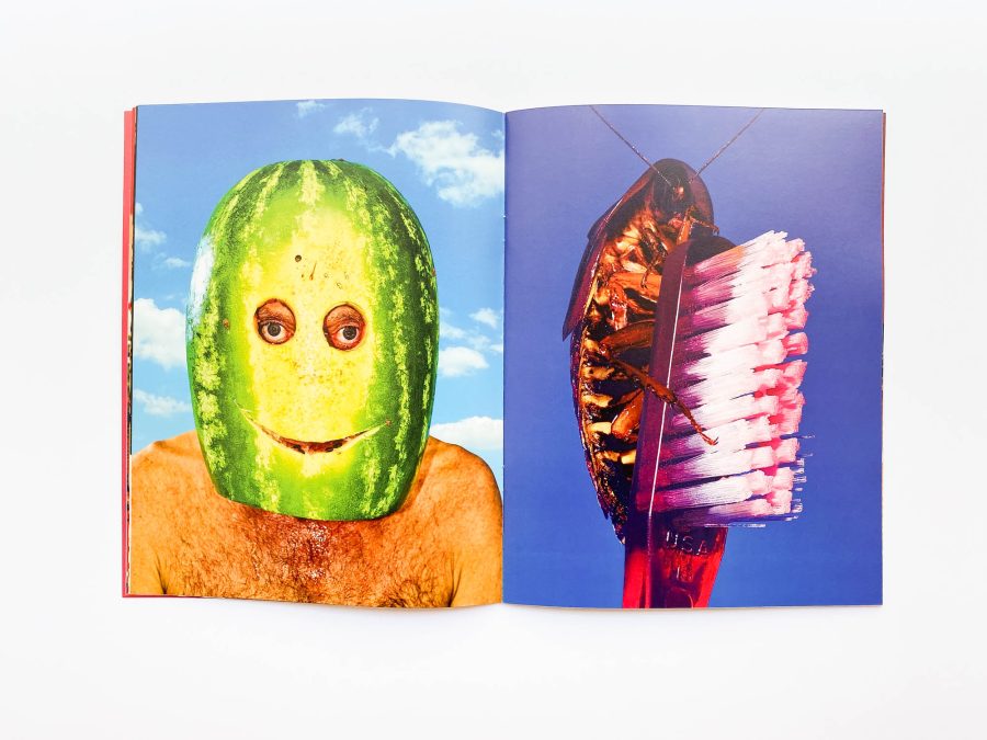 Toiletpaper Magazine #18 5