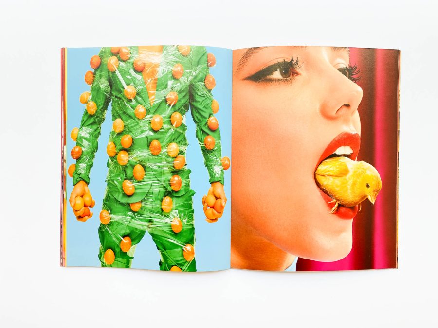 Toiletpaper Magazine #18 8