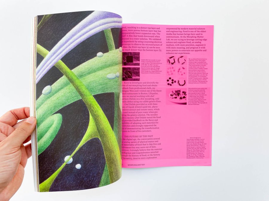 Mold Magazine #4 3